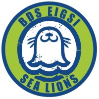 BDS EIGSI logo - Similar company to Eslan