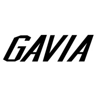 Gavia logo - Similar company to Conbienes S.A.