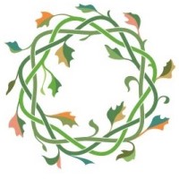 Interprofessional Primary Care Institute logo - Similar company to Expandable Technology