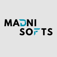 MadniSofts logo - Similar company to Softndev