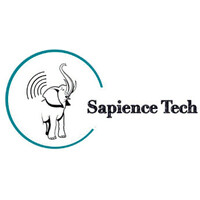 Sapience-Tech logo - Similar company to Sapануті