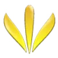Lotus Multimarcas BSB logo - Similar company to V12 Motors