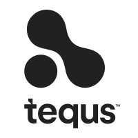 tequs logo - Similar company to Bl!Xt