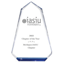IASIU - Michigan Chapter logo - Similar company to Data Surveys, Inc.