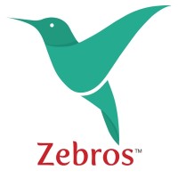 Zebros Electronics India Private Limited