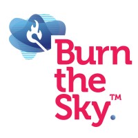 Burn the Sky logo - Similar company to Beyond The Obvious