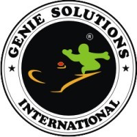 Genie Solutions logo - Similar company to Geniesolutions