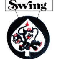 Swing Transport, Inc. logo - Similar company to Trinity Transport