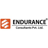 Endurance Consultants Pvt Ltd logo - Similar company to Digiwizards