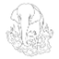 Topsy Design