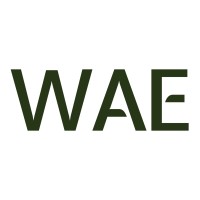 WAE Consulting logo - Similar company to Wave Consulting & Solutions