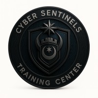 Cyber Sentinels logo - Similar company to Cyber Time