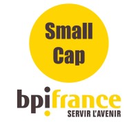 Bpifrance Small Cap logo - Similar company to Voxeus