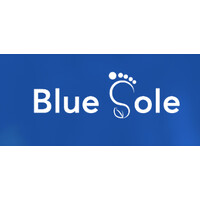 Blue Sole Limited logo - Similar company to Haposoft Career