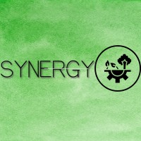 Synergy logo - Similar company to Curibit