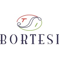 Bortesi Global Logistics logo - Similar company to Amekar Logistics