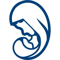 St. Nicholas Hospital, Lagos logo - Similar company to Techy