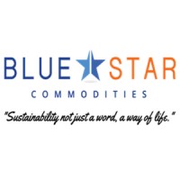 Blue Star Commodities logo - Similar company to Vault (Usdvault)