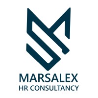 MARSALEX CONSULTANCIES logo - Similar company to Mina Al Khaleej Electronics Tr Llc