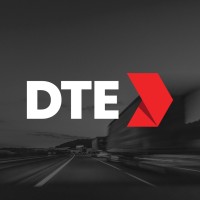 DTE Ltd logo - Similar company to Millies Wolfheart