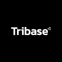 TRIBASE CONSTRUTORA logo - Similar company to Wv Construtora
