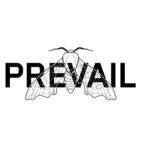 Prevail logo - Similar company to Vintez Technologies