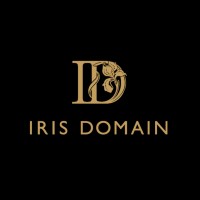 Iris Domain logo - Similar company to Upperhand Properties