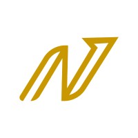 Next Practice Partners logo - Similar company to Tedxindianapolis