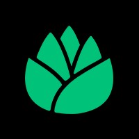 Artichoke logo - Similar company to Jck Foundation