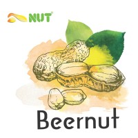 Nut logo - Similar company to The Tool Nut