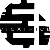 Cicatrice Journal logo - Similar company to You Know