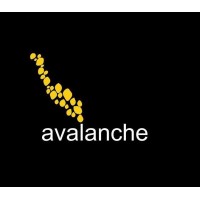 Avalanche trade logo - Similar company to Deso
