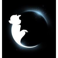 Space Monkey logo - Similar company to Mandarina
