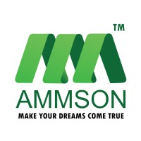 Ammson International Tech Solutions Private Limited logo - Similar company to Webinspiron
