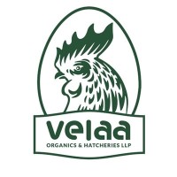 Velaa Organics and Hatcheries LLP logo - Similar company to Programming Club Of Srcas