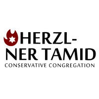 Herzl-Ner Tamid logo - Similar company to Beeline Mobility