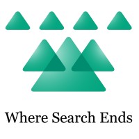 WSE Infratech logo - Similar company to Softglobe Technology Private Limited
