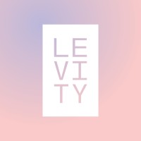Levity Creative logo - Similar company to Leader Enterprises