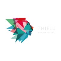 Thielu Webconsulting logo - Similar company to Founder Convention