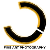 Carian.art logo - Similar company to Beefngood