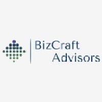 BizCraft Advisors logo - Similar company to Bluconn