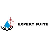 Sarl Expert Fuite logo - Similar company to Détecte Fuite Sàrl
