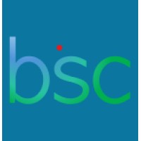 Blue Sage Consulting logo - Similar company to Gamechangers Inc.