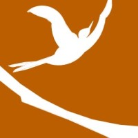 Bird & Branch Homes