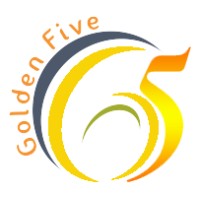 Golden Five Consulting logo - Similar company to Techron