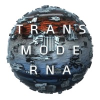 TRANSMODERNA logo - Similar company to Innervisions