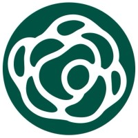 Floranow logo - Similar company to Maxsofttechs