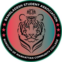 BMCC BSA logo - Similar company to Nyu Tandon Msa