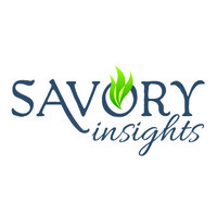 SAVORY INSIGHTS  Business Building Services logo - Similar company to Computer Diagnostics & Repairs!