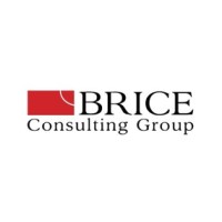 Brice Consulting Group logo - Similar company to Touchstone Group, Llc
